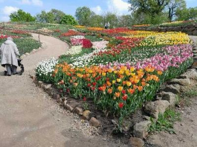 Frühlingsblüte im NaturaGart-Park
